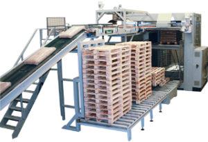 PM800 palletizer